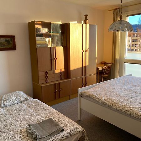 Apartman Pod Studenou Horou โรกีนีซ นัด ยีเซอโร ภายนอก รูปภาพ