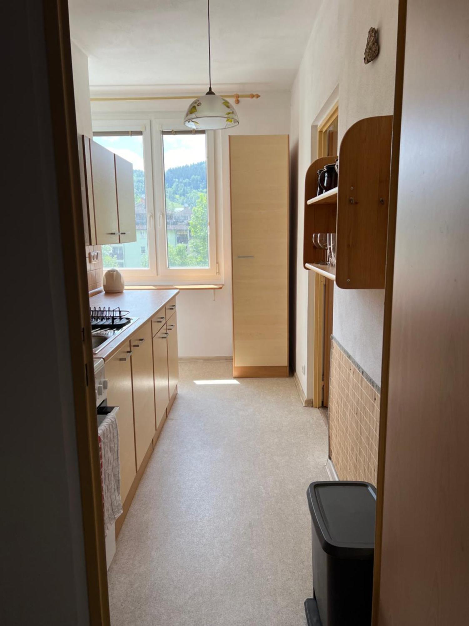 Apartman Pod Studenou Horou โรกีนีซ นัด ยีเซอโร ภายนอก รูปภาพ